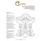Livre Motifs floraux art nouveau broderie au point de bayeux - Librairie Créative