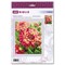 Broderie Fleurs et Plantes - Dahlias - RIOLIS