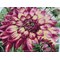 Broderie Fleurs et Plantes - Dahlias - RIOLIS