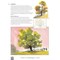 Livre - L'aquarelle simplement - les techniques indispensables - Librairie Créative