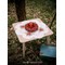 Kit Nappe Broderie Traditionnelle - La splendeur du poinsettia - Vervaco