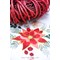 Kit Nappe Broderie Traditionnelle - La splendeur du poinsettia - Vervaco