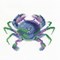 Crabe coloré aquatique point de croix compté - DMC