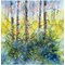 Livre - La nature a l'aquarelle en toute liberte - Librairie Créative