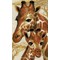 Les girafes tableau point de croix - RIOLIS