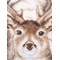 Broderie Animaux Sauvages - Cerf - Vervaco