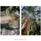 Livre - Empreinte de nature - une annee de creations textiles, vegetales... - Librairie Créative