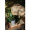 Livre - Empreinte de nature - une annee de creations textiles, vegetales... - Librairie Créative