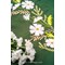 Kit Nappe Broderie Traditionnelle - Fleurs blanches - Vervaco