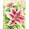 Broderie Fleurs et Plantes - Lilies - RIOLIS