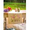 Kit Chemin de Table Traditionnelle - Pink flowers - Vervaco