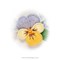 Livre Broderie creative fleurs elisabethaines en stumpwork - Librairie Créative