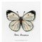 Papillon blanc kit broderie de Vervaco au point de croix