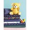Livre - 9 mois pour coudre les indispensables de bebe creations 100% inedites - Librairie Créative