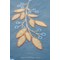 Kit Chemin de Table Traditionnelle - Fleurs et brindilles - Vervaco