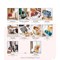 Livre - Couture facile - l'affaire est dans le sac ! 20 modeles a coudre - Librairie Créative
