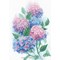 Broderie Fleurs et Plantes - Gracefull Hydrangeas - RIOLIS