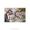 Livre - Speed quilting & couture sur papier - best of florence chambe - Librairie Créative