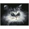 Broderie diamant Squares - Shadow cat - Diamond Dotz