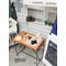 Livre - Meubles & objets en bois - Librairie Créative