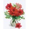 Broderie Fleurs et Plantes - Amaryllis - RIOLIS