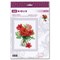 Broderie Fleurs et Plantes - Amaryllis - RIOLIS