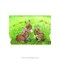 Livre - Esprit nature - 47 deco naturellement belles pour toute l'annee - Librairie Créative