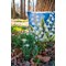 Coussins Fleurs et plantes au point de croix - Muguet - Vervaco