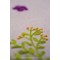 Kit Nappe Broderie Traditionnelle - Printemps joyeux - Vervaco