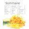 Livre - Aquarelles florales et poetiques - Librairie Créative