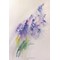 Livre - Aquarelles florales et poetiques - Librairie Créative