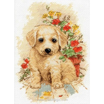 Point De Croix Kit Complet Adulte,Chien Chihuahua,Dmc Canevas Point De