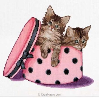 Kit broderie point de croix - Chat roux - MP Studia