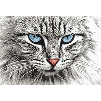 Kit Broderie Point De Croix Marie Coeur Chat Angora Aux Yeux Bleus Kit Broderie Point De Croix Marie Coeur Chat Angora Aux Yeux Bleus