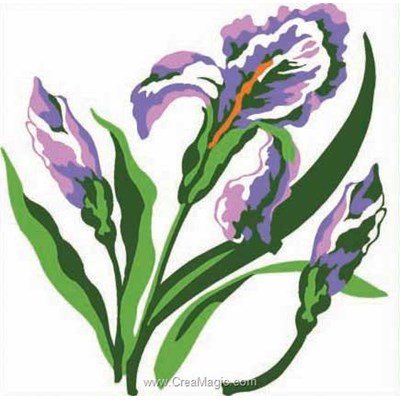 Canevas débutant SEG iris violet