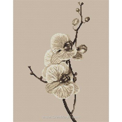 Kit à broder Luca-S orchidée noir et blanc