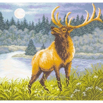 Kit broderie imprimée aida red deer cerf de Collection d'art