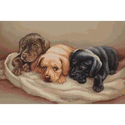 Broderie point compté trois chiots labradors - Luca-S