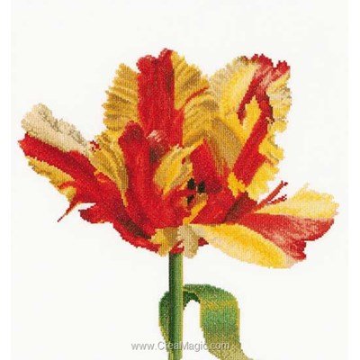 Point de croix à broder red/yellow parrot tulip sur aida de Thea Gouverneur