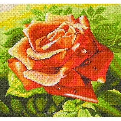 Kit broderie imprimée red rose sur aida de Collection d'art