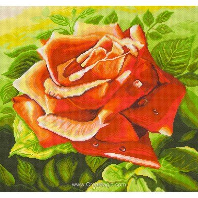 Kit broderie imprimée red rose sur aida de Collection d'art