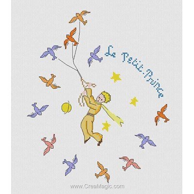 Kit le petit prince et les oiseaux - Princesse