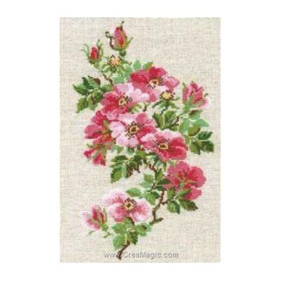 Broderie de RIOLIS au point de croix roses sauvages