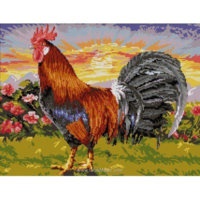 Le cri du coq kit broderie - Mimo Verde