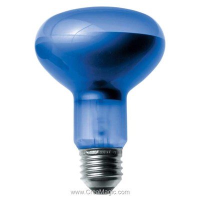 Spot r80 100 w es - D11121 chez Daylight