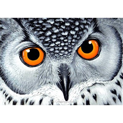 Broderie diamant regard de hibou - Wizardi