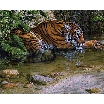 Broderie diamant in the jungle de Diamond Painting