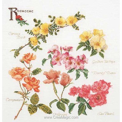 Rose panel sur lin kit à broder point de croix - Thea Gouverneur