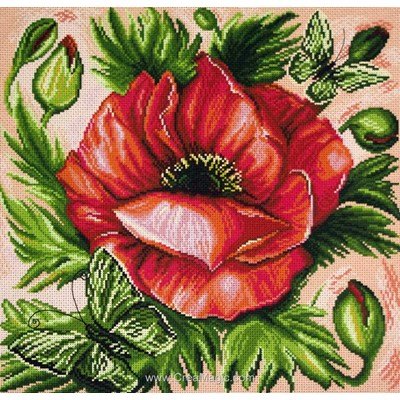 Broderie aida imprimée coquelicot poppy - Collection d'art