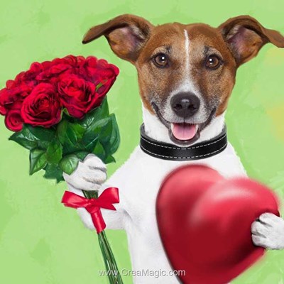 Kit broderie diamant dog with flowers de Diamond Painting